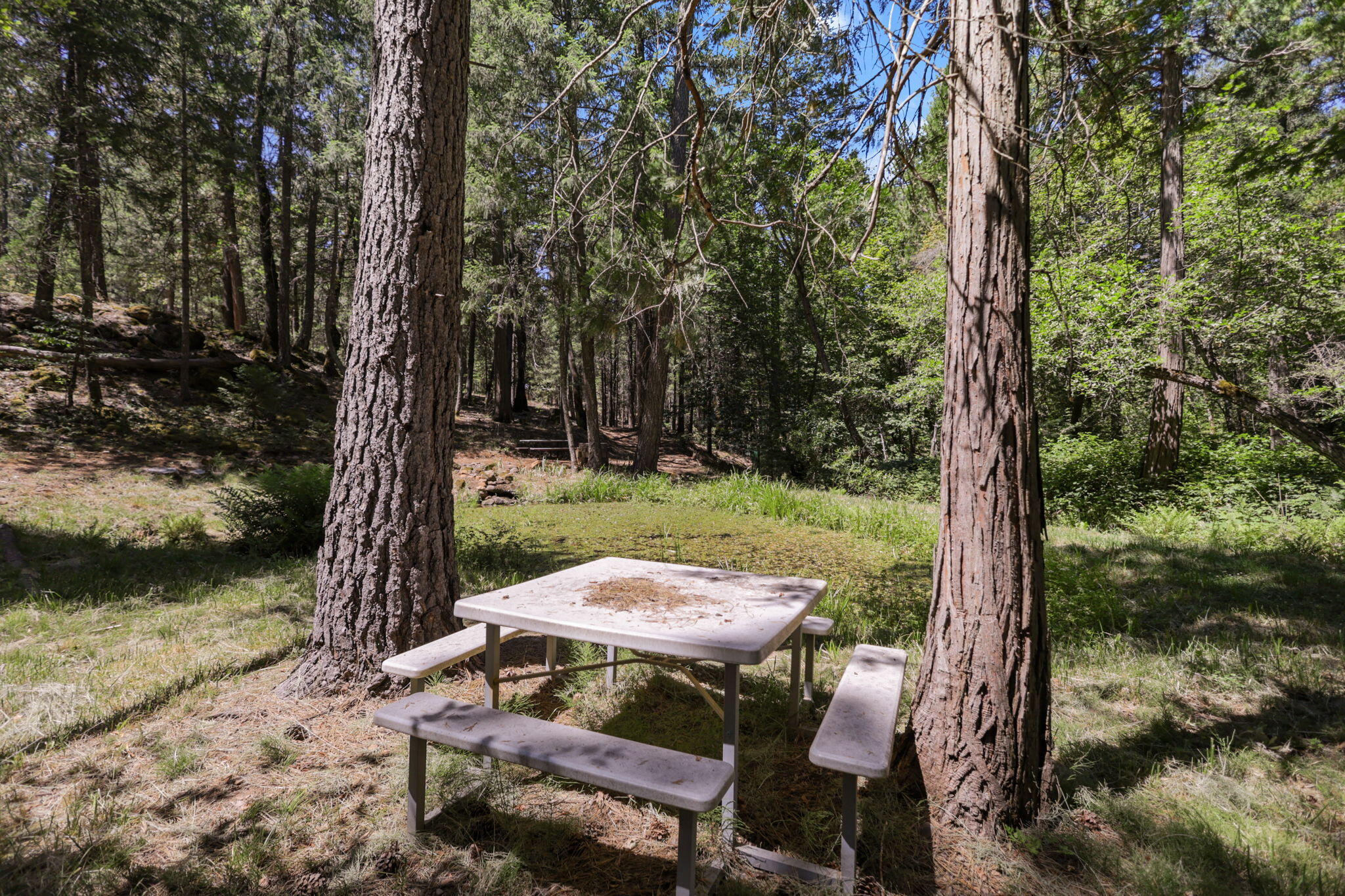 main property photo 56