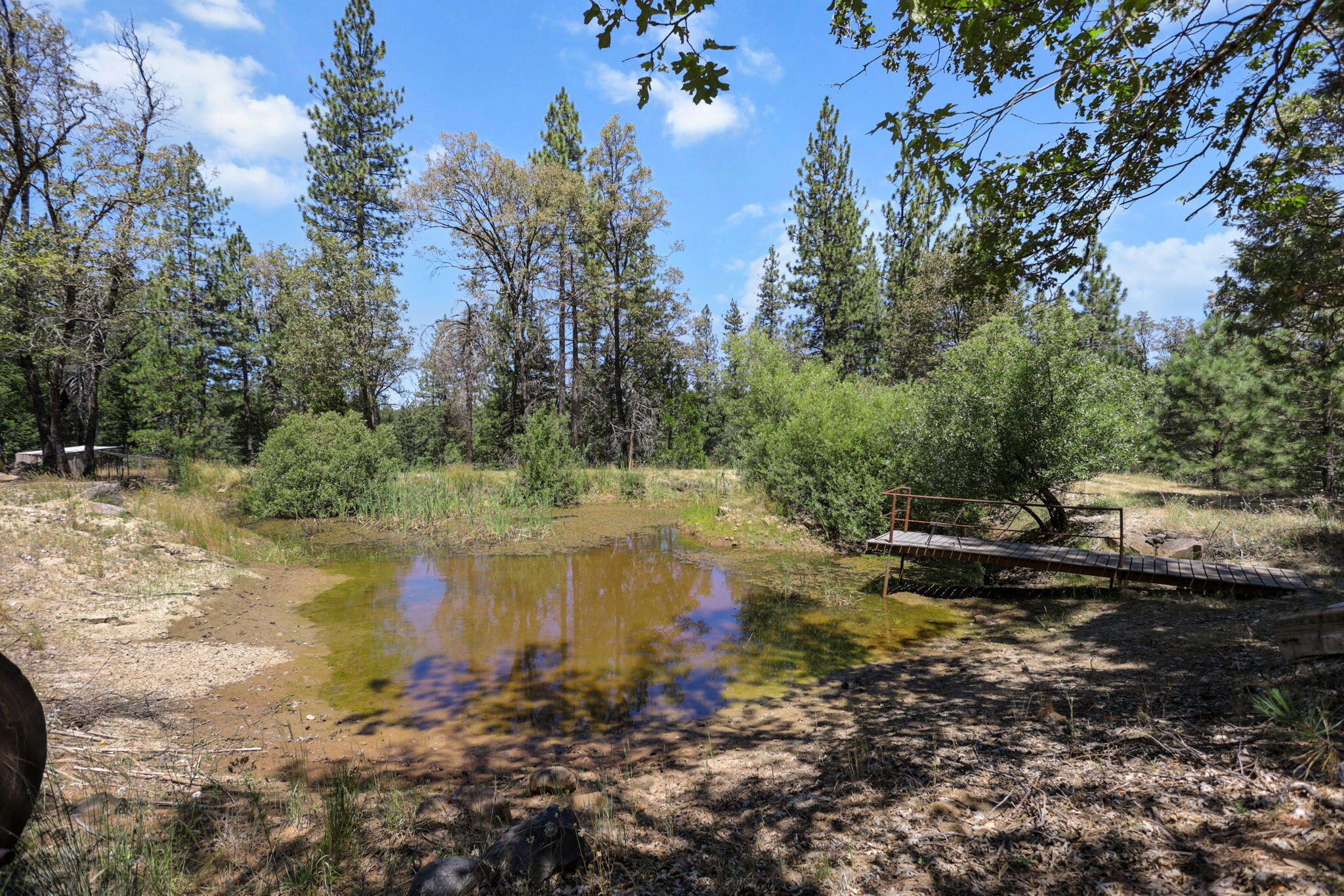 main property photo 59