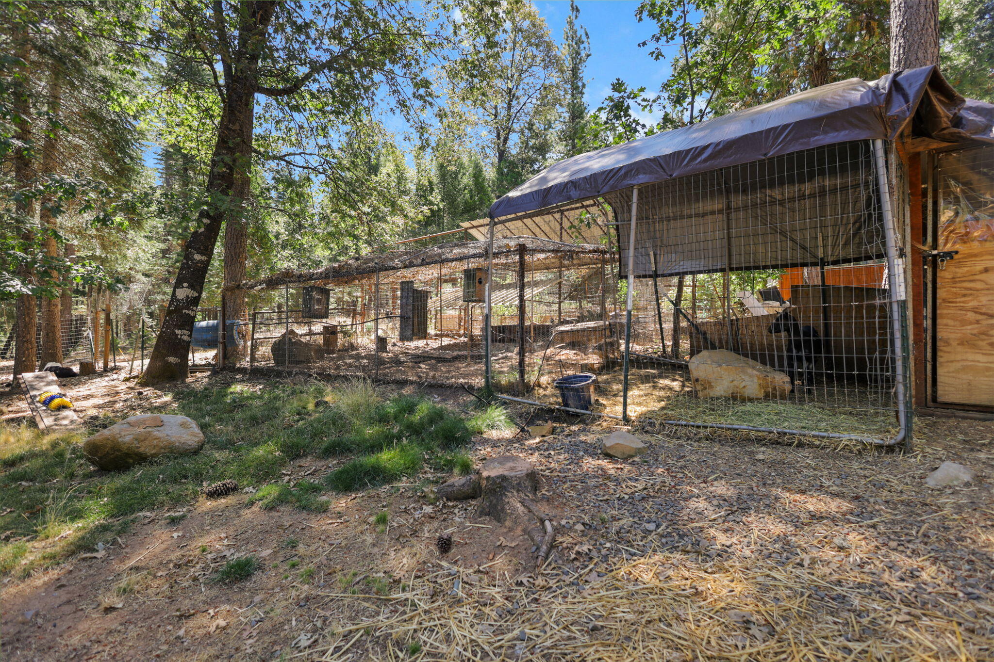 main property photo 63