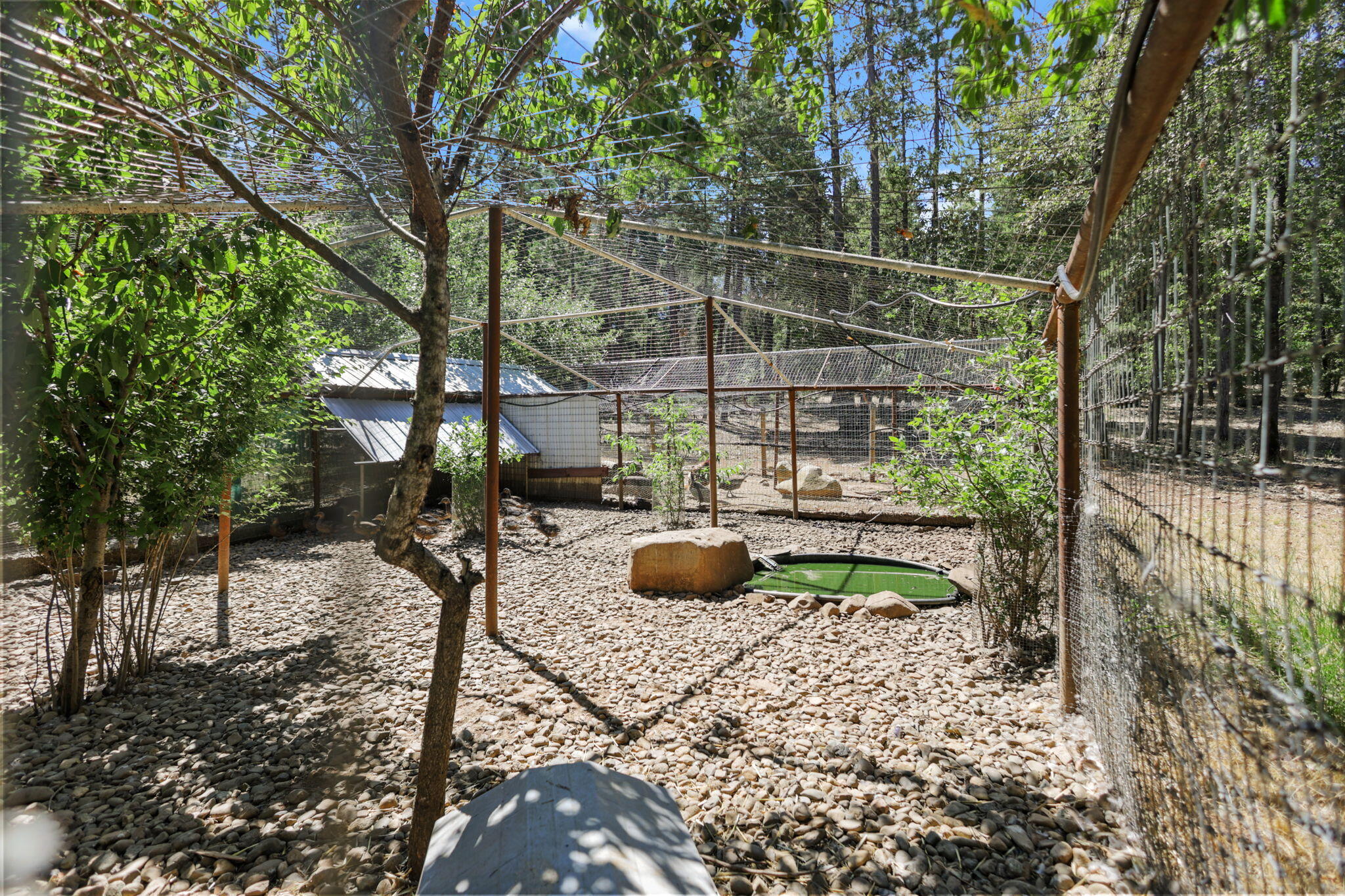 main property photo 64