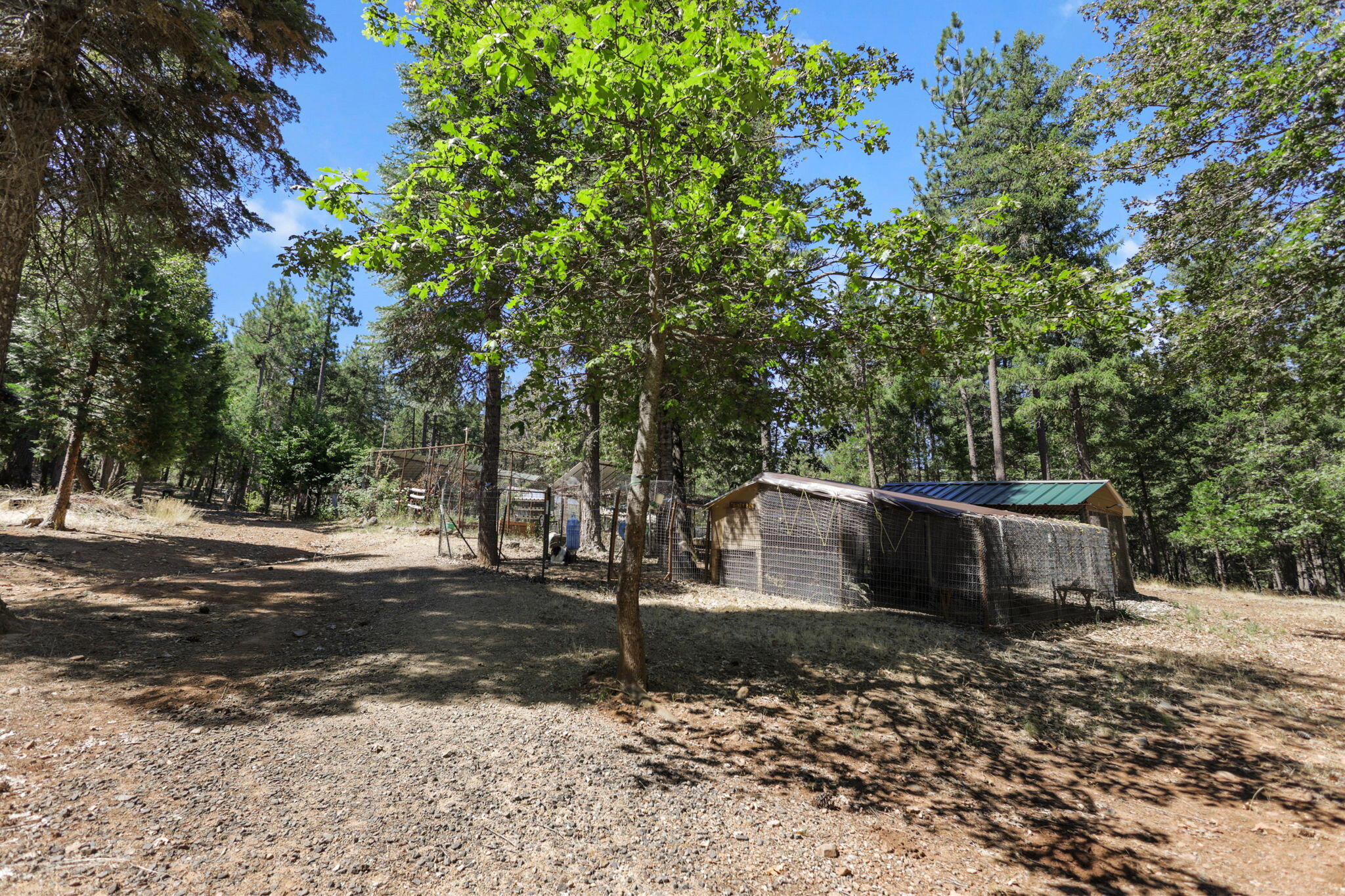 main property photo 65