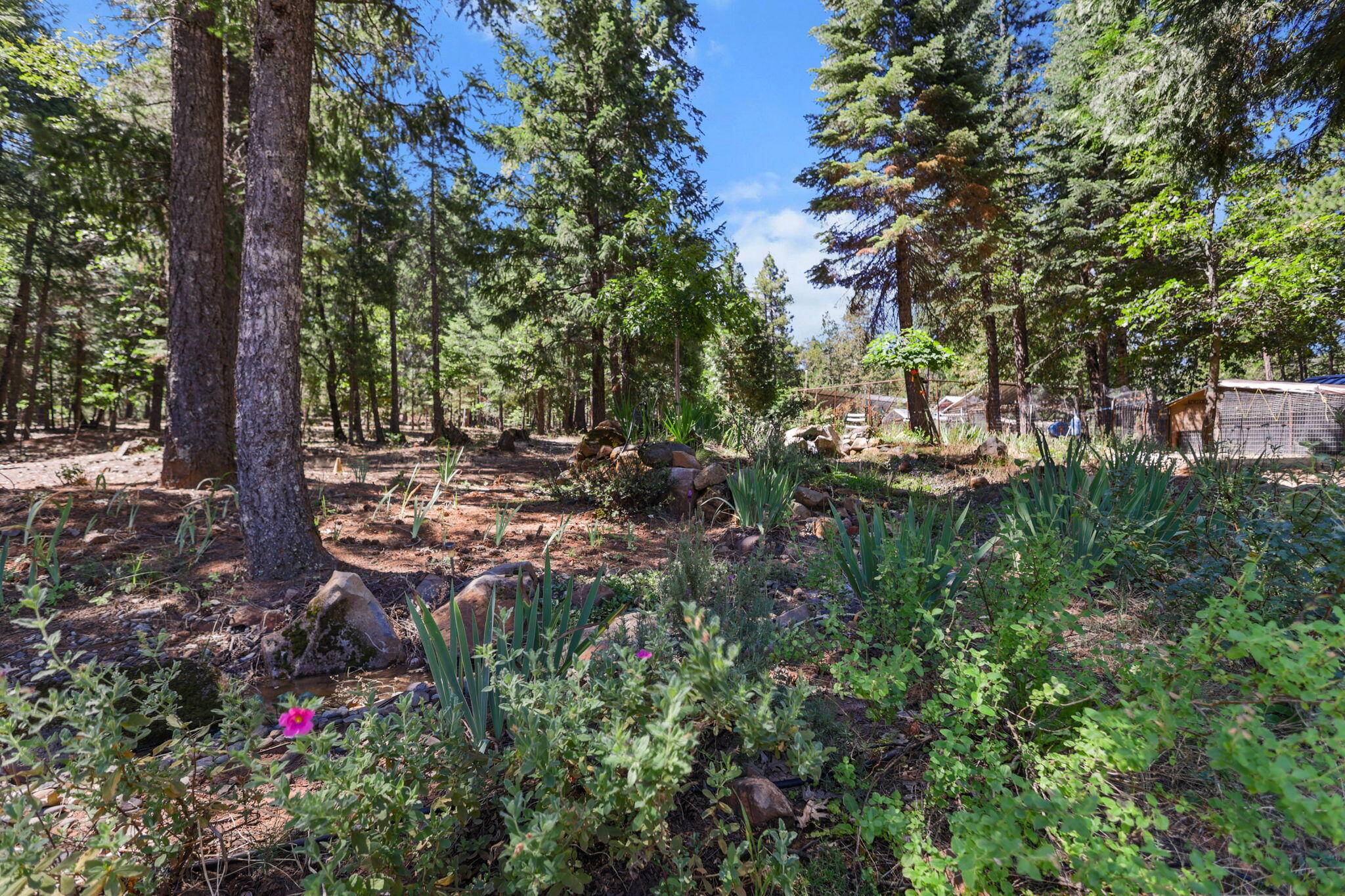 main property photo 66