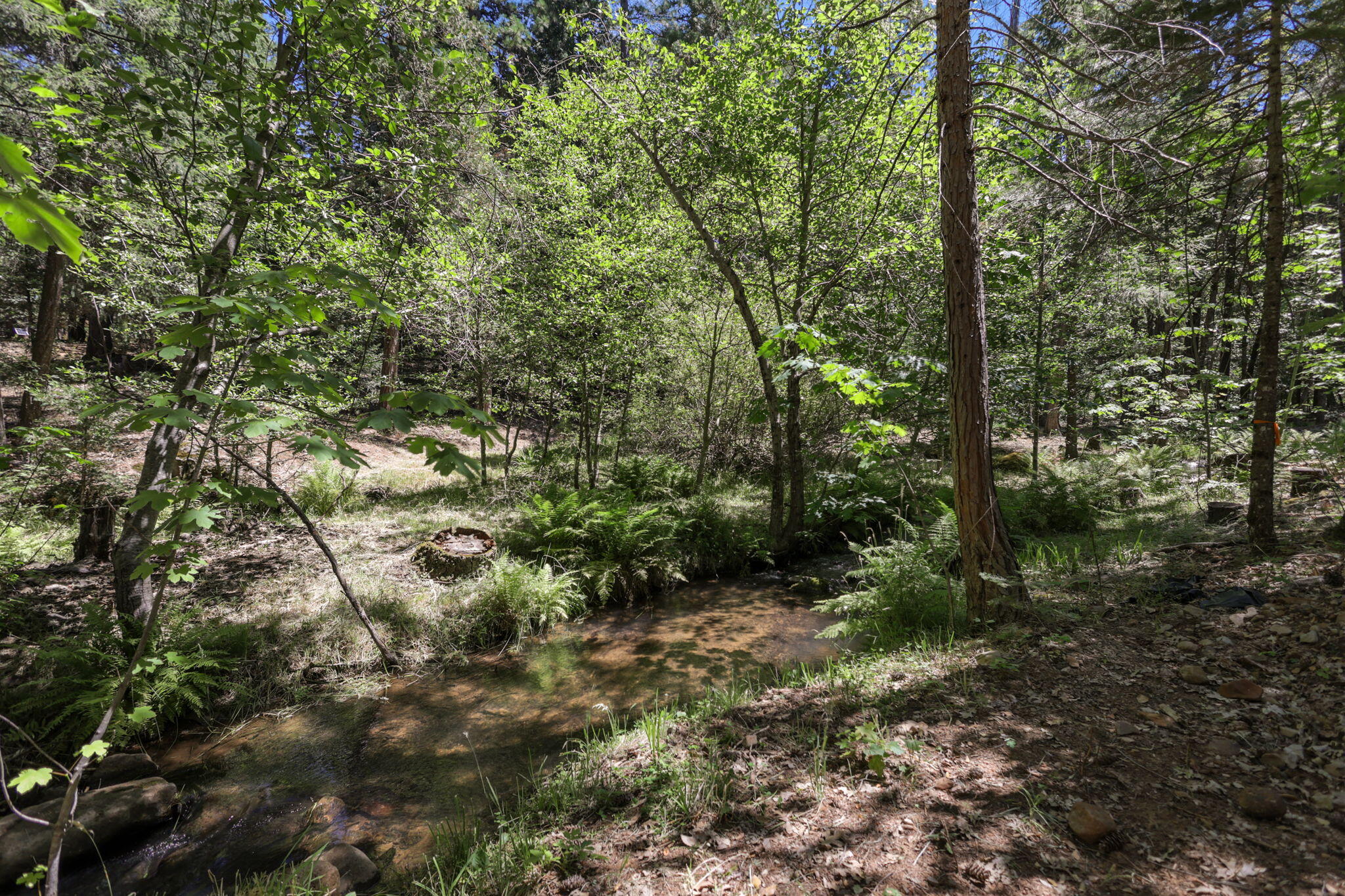 main property photo 69