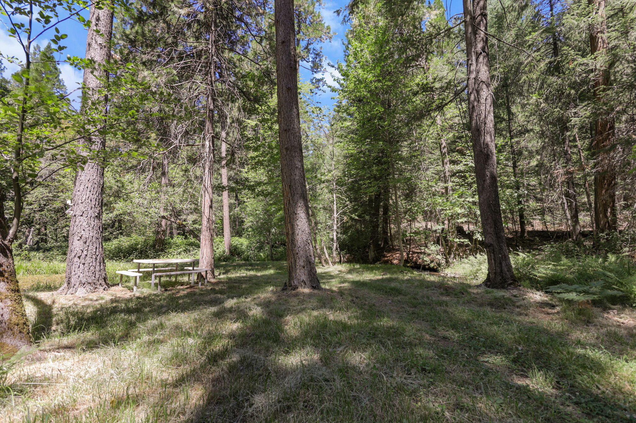 main property photo 70