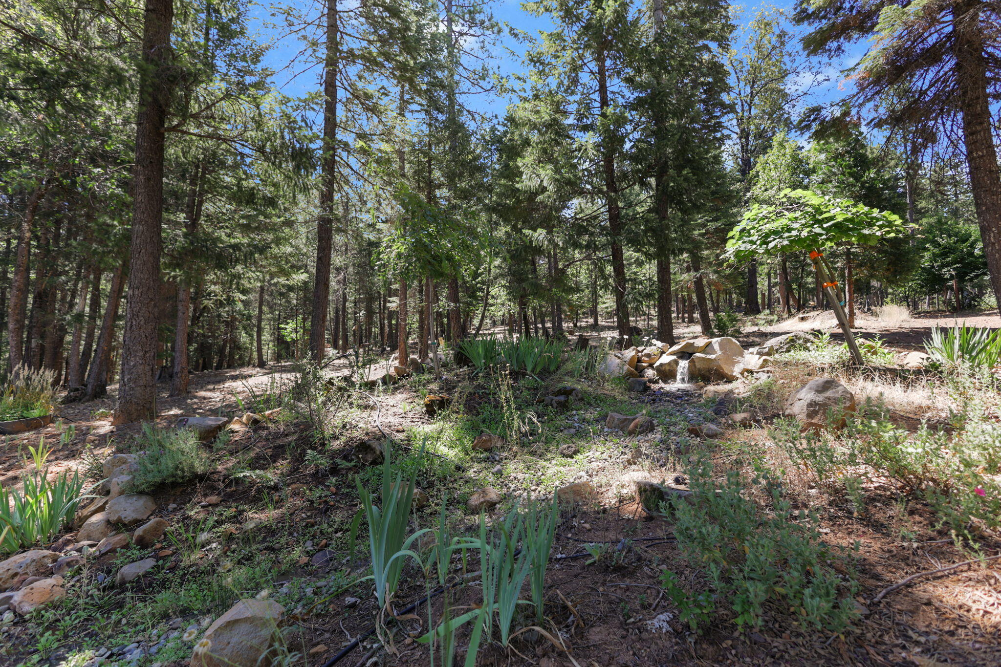 main property photo 71