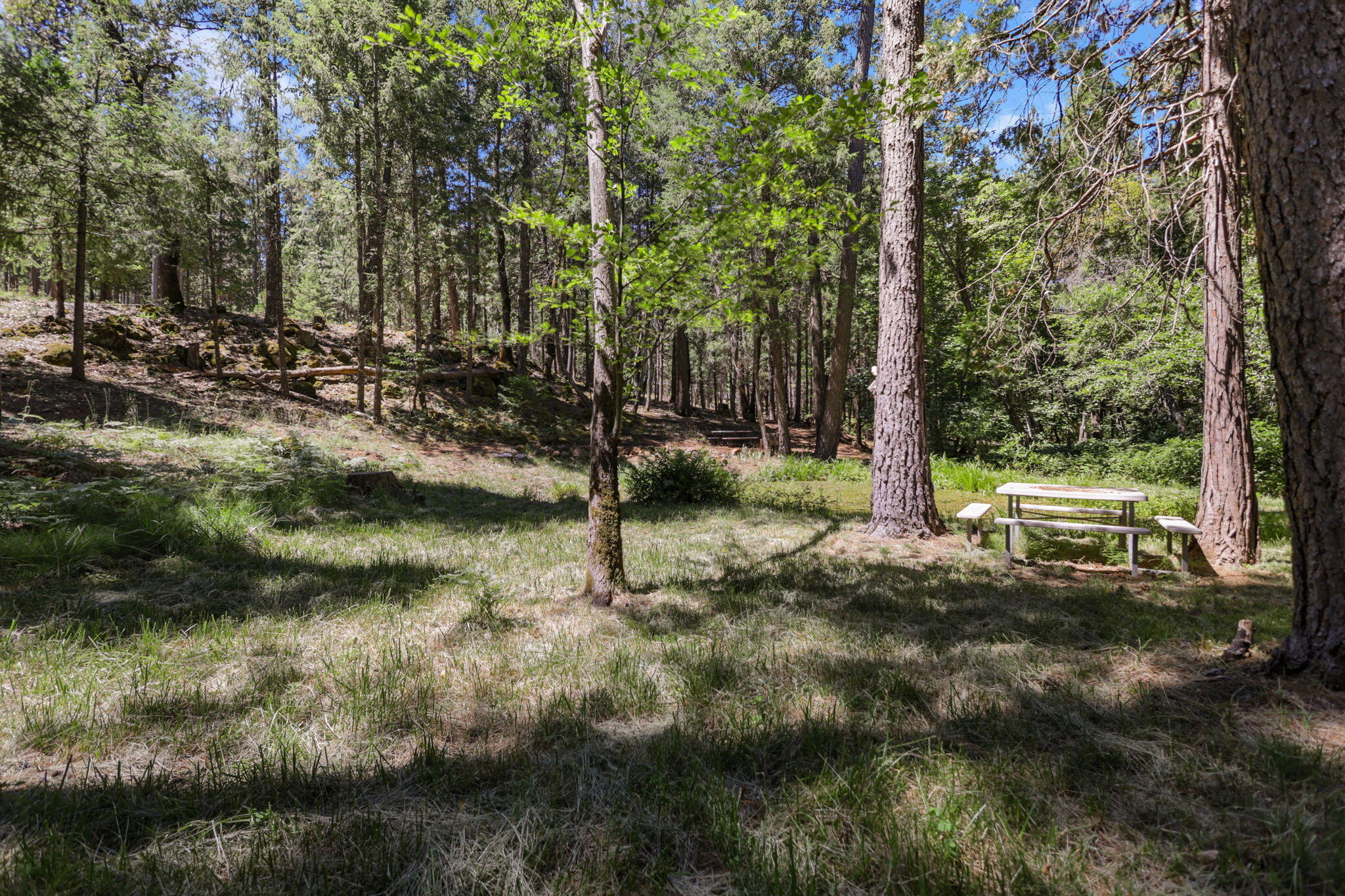 main property photo 72