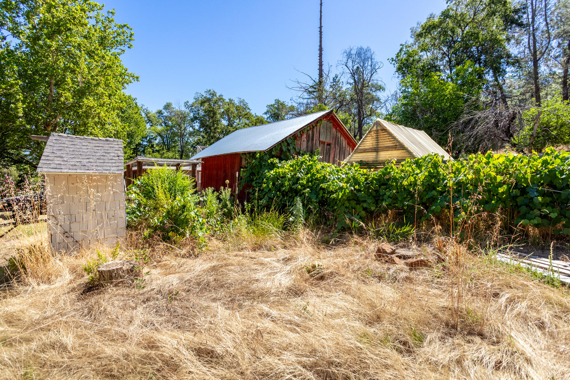 main property photo 28