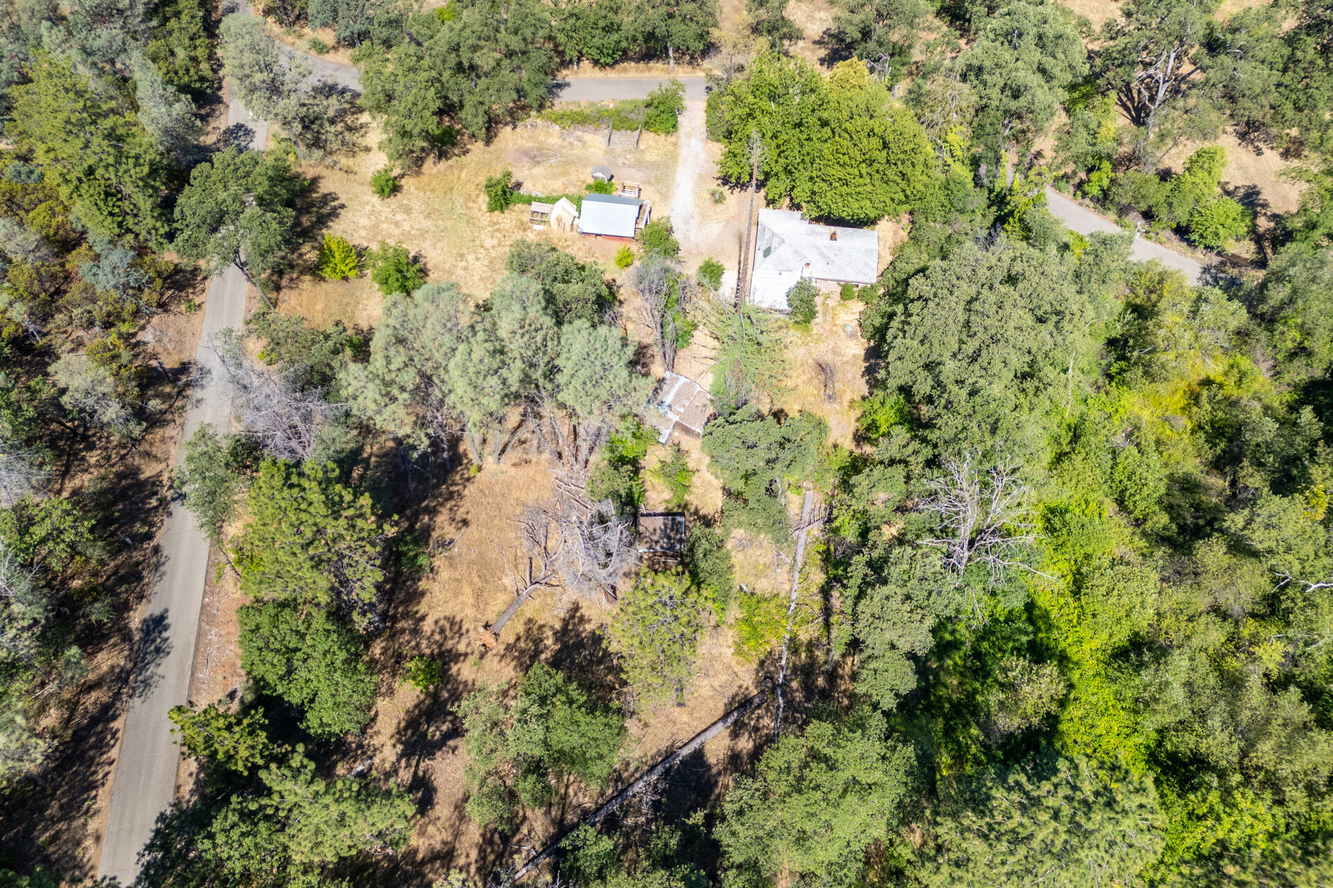 main property photo 43