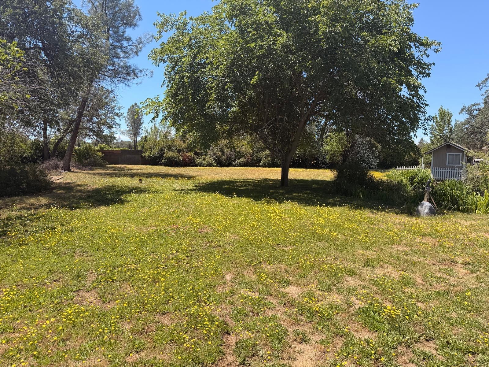 main property photo 31