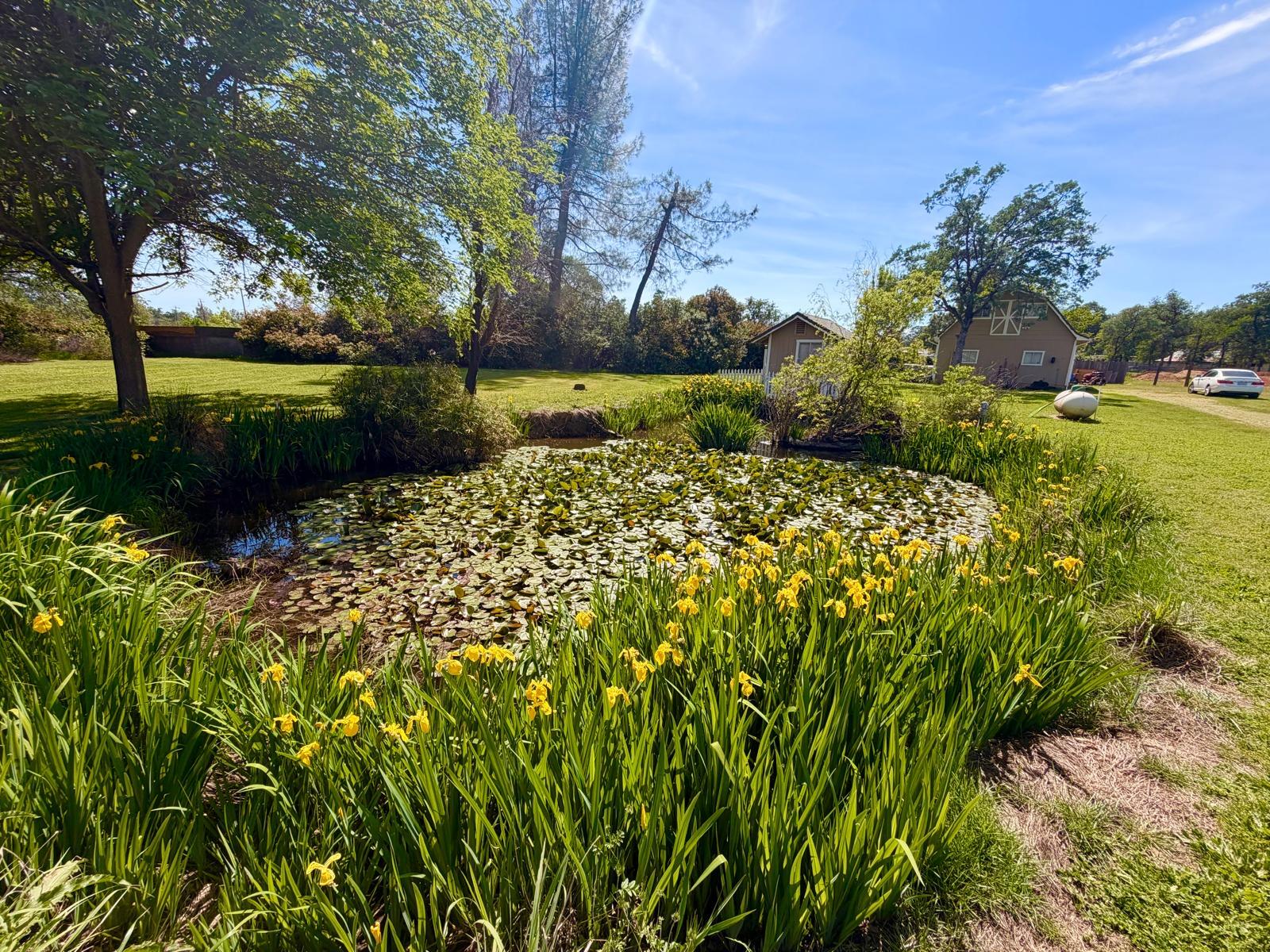 main property photo 36