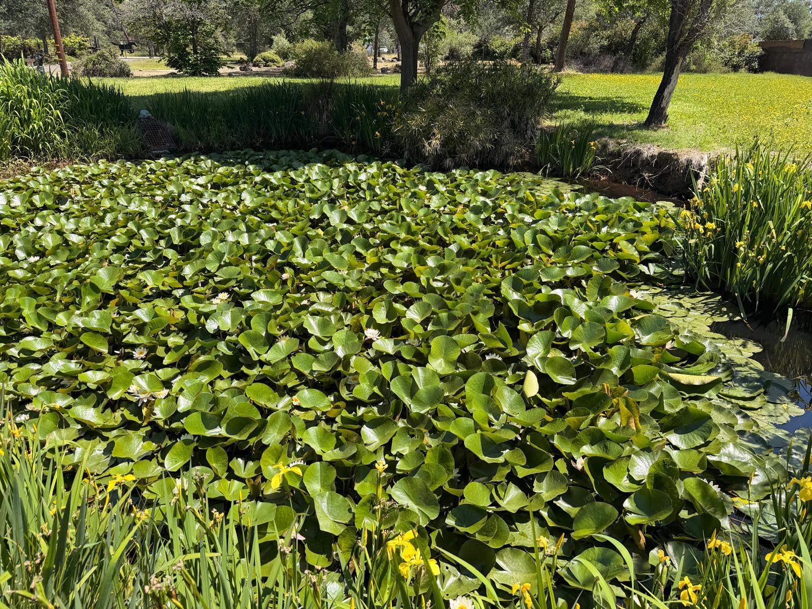 main property photo 37