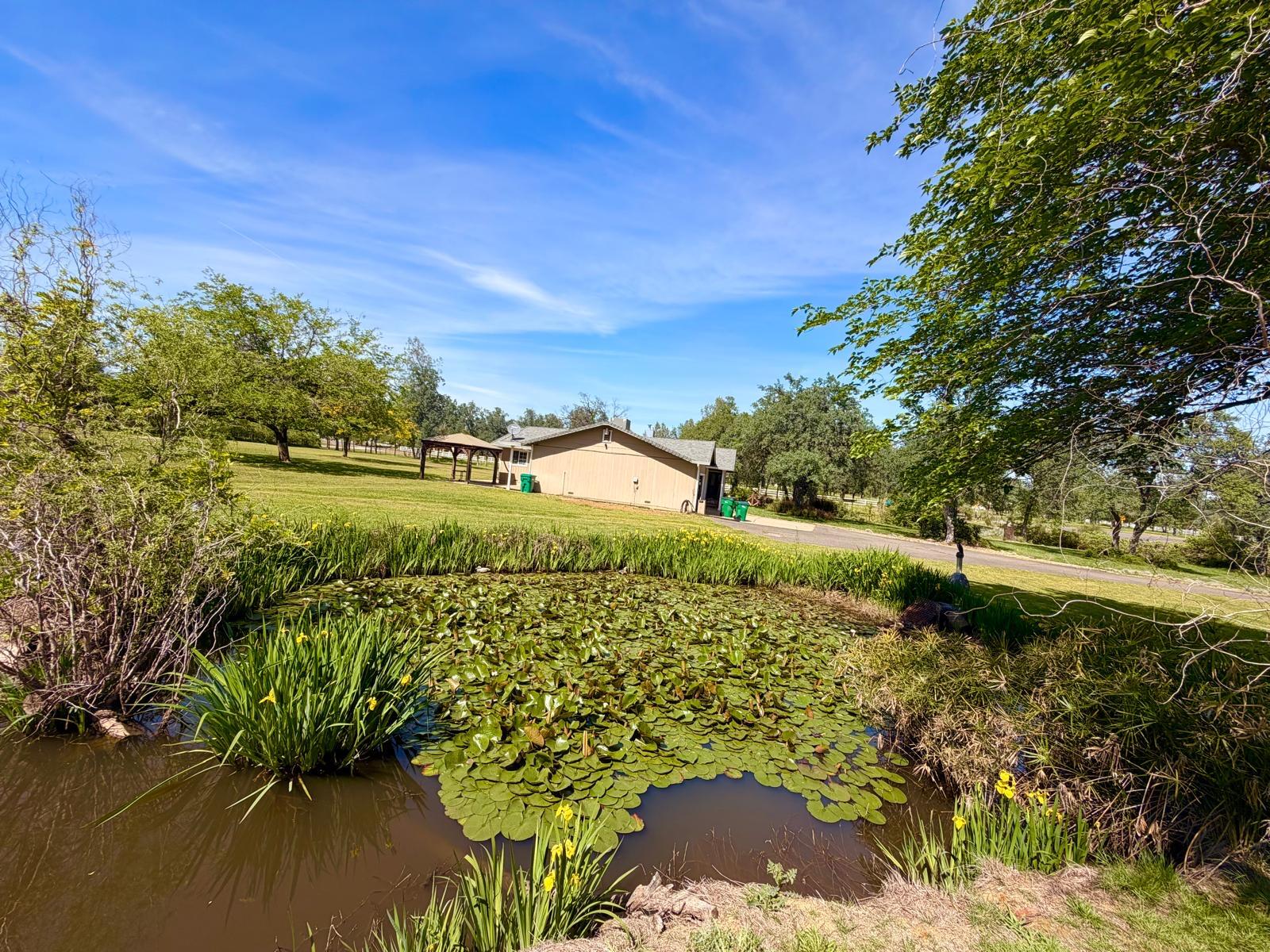 main property photo 39