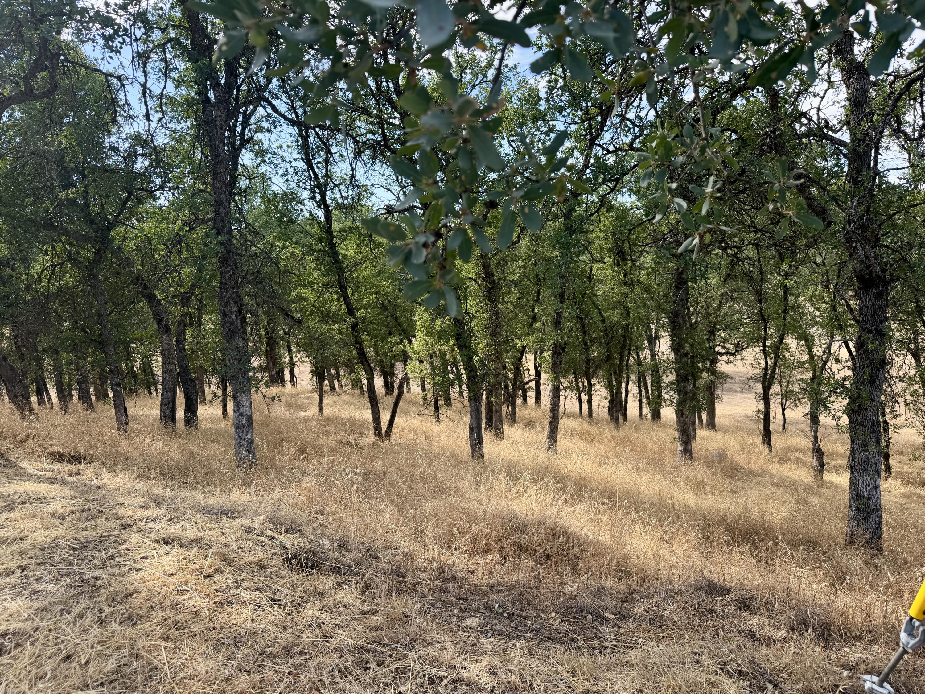main property photo 64