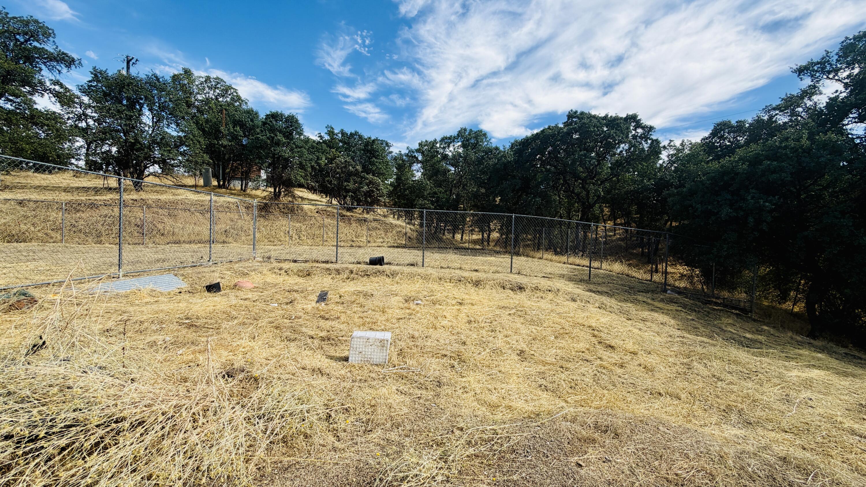 main property photo 65