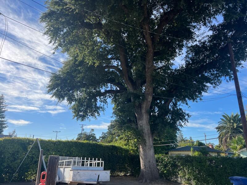main property photo 35