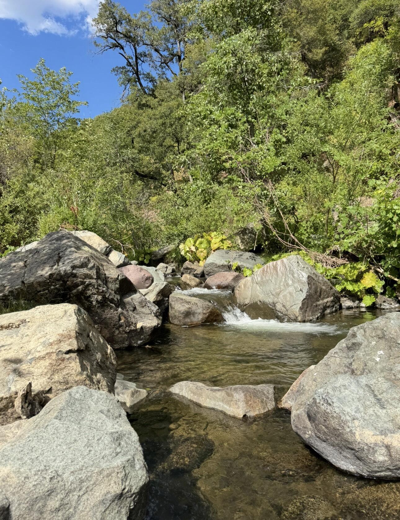 main property photo 68