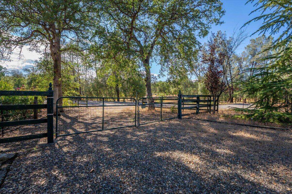 main property photo 59