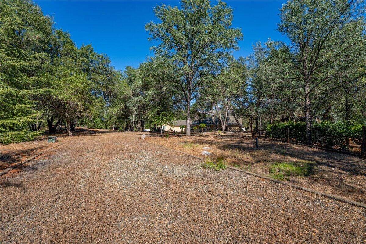 main property photo 61