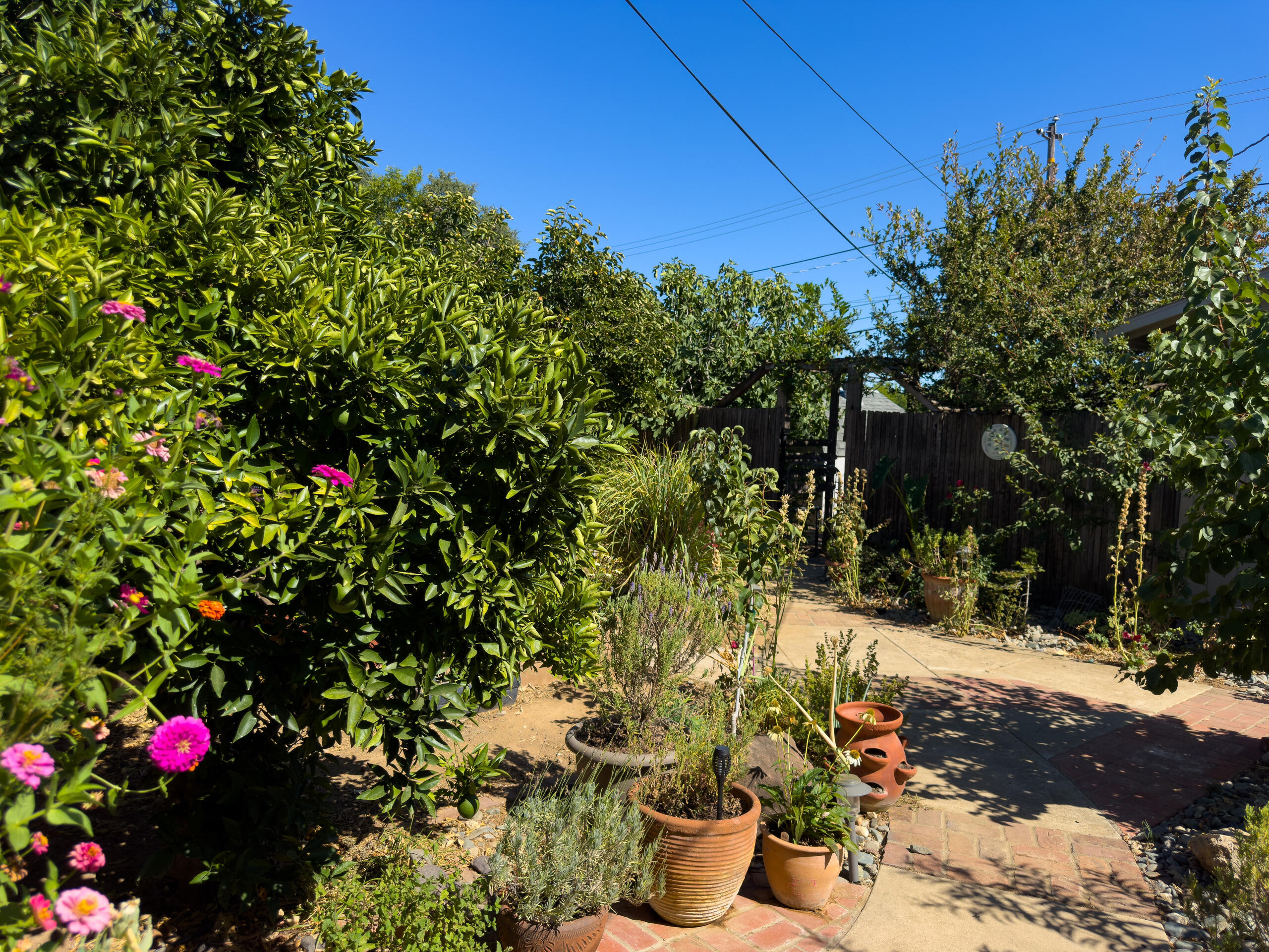 main property photo 54