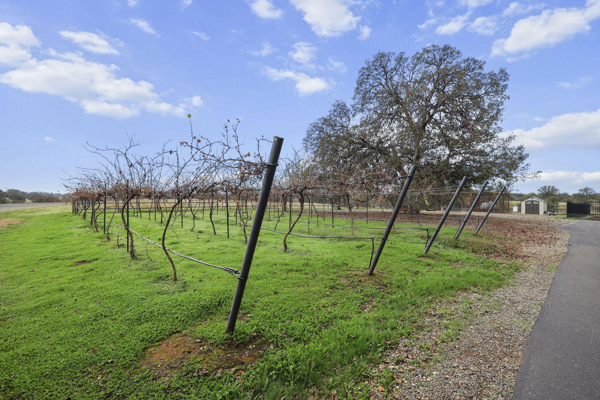 main property photo 41