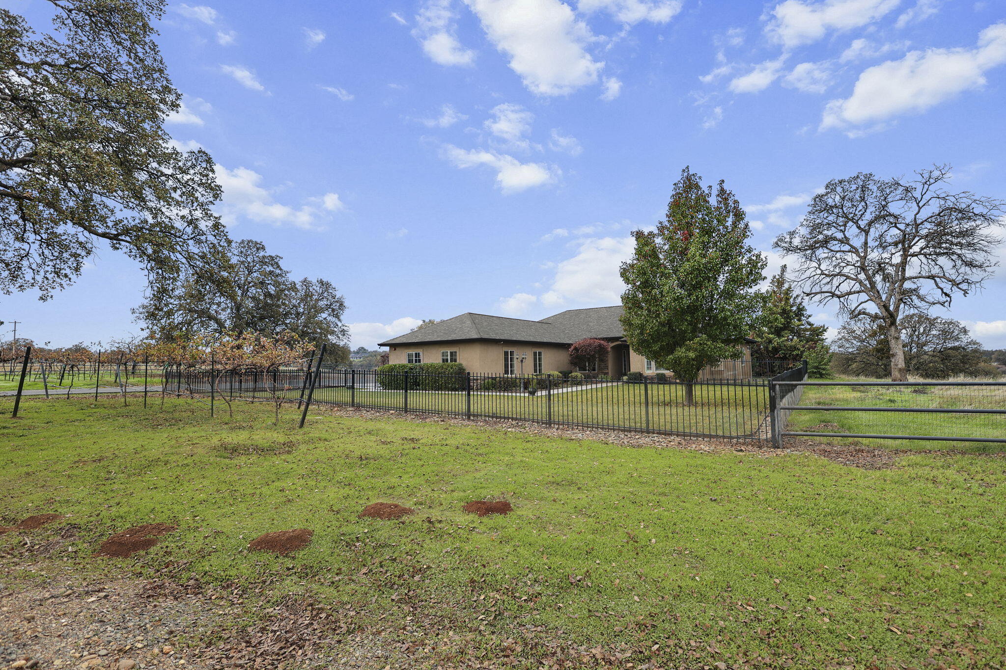main property photo 47