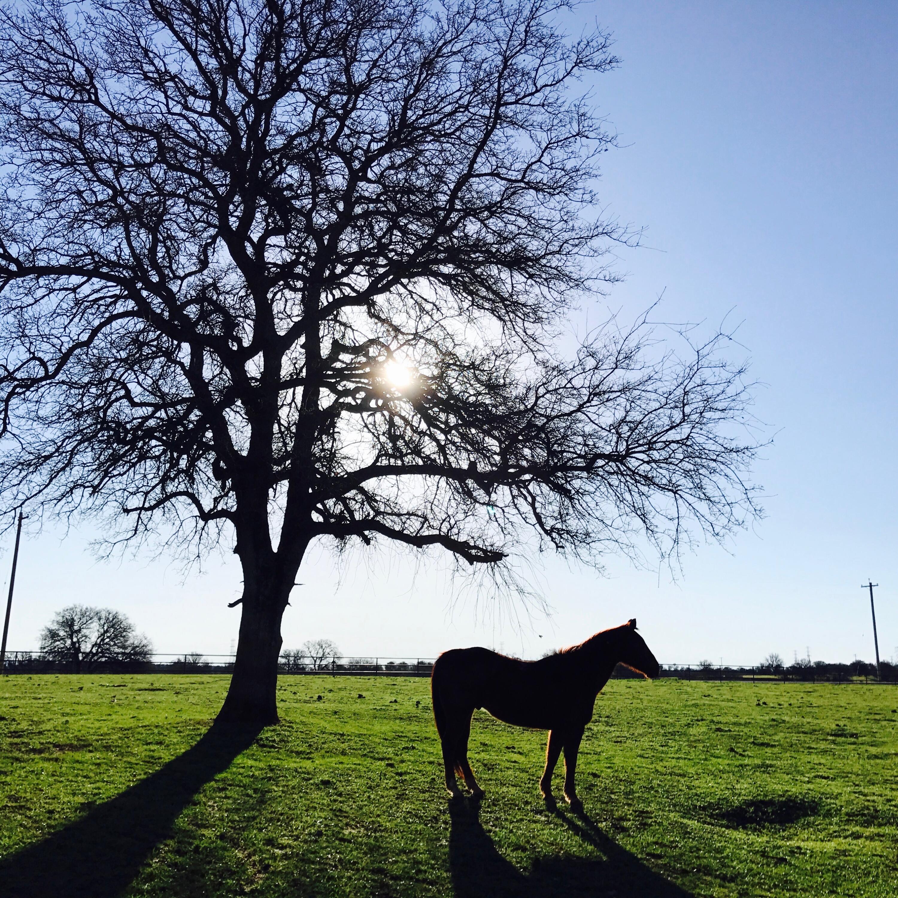 main property photo 65