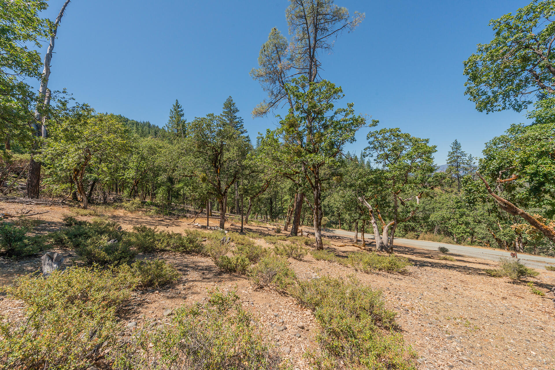 main property photo 105