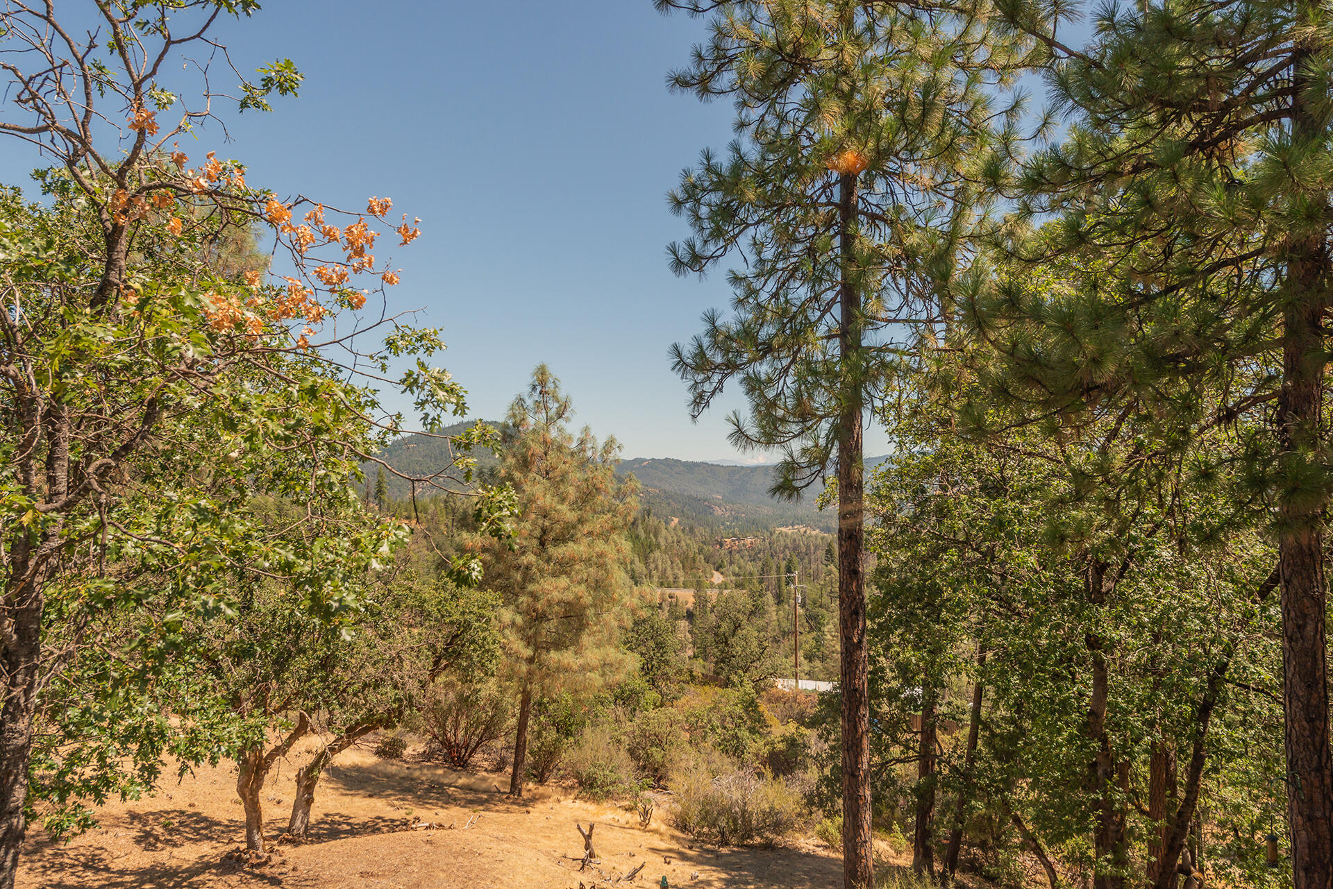 main property photo 61