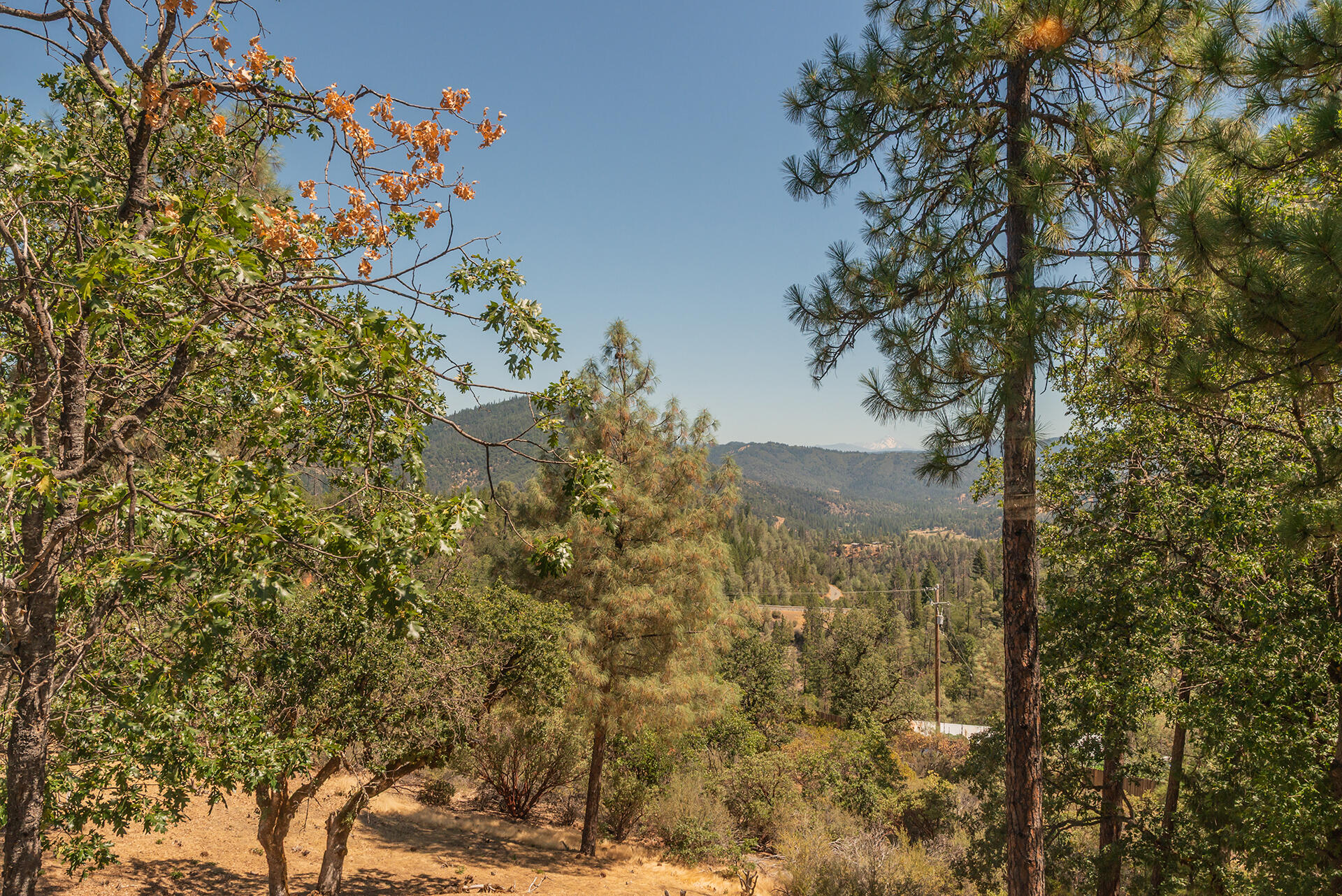 main property photo 62