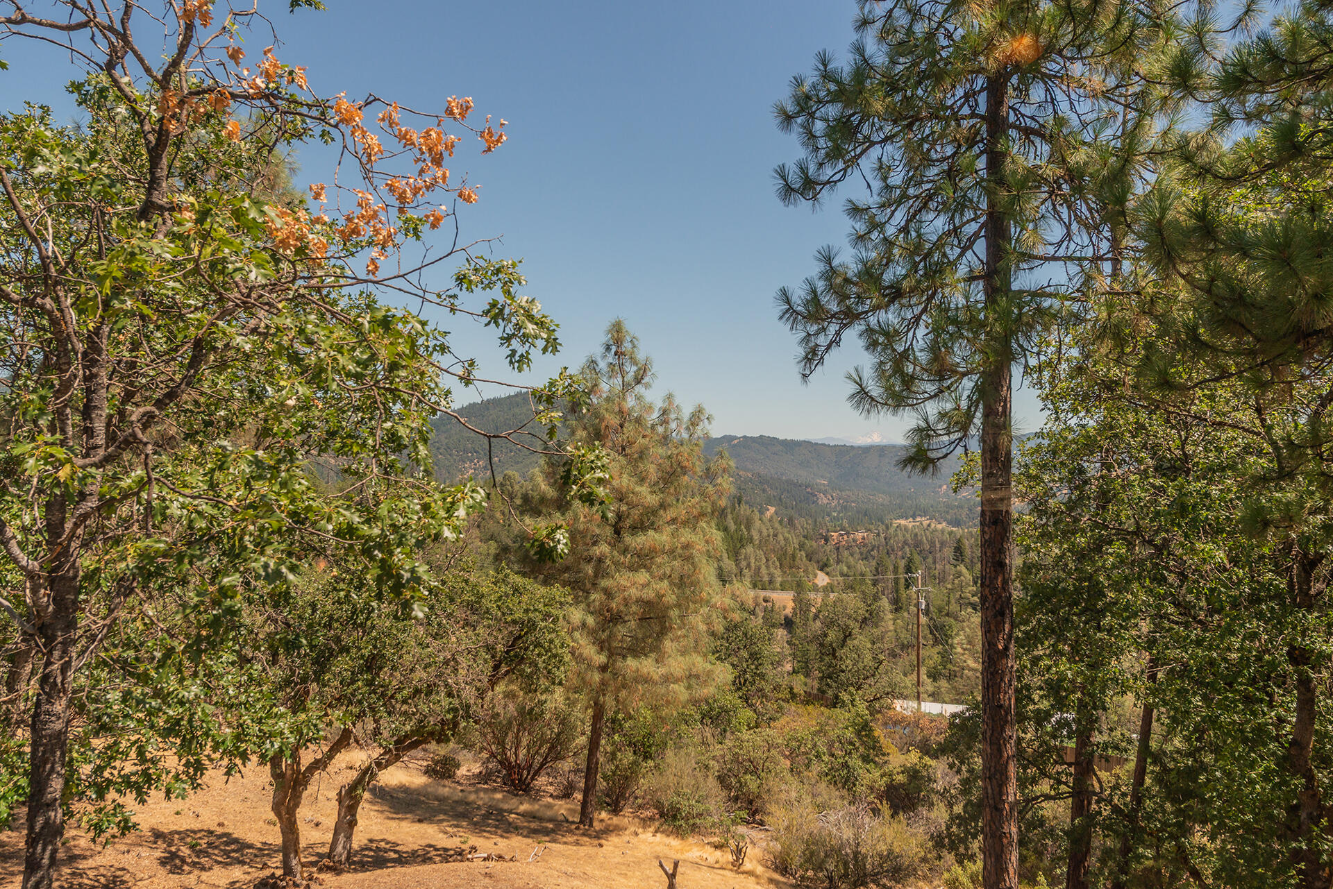main property photo 63