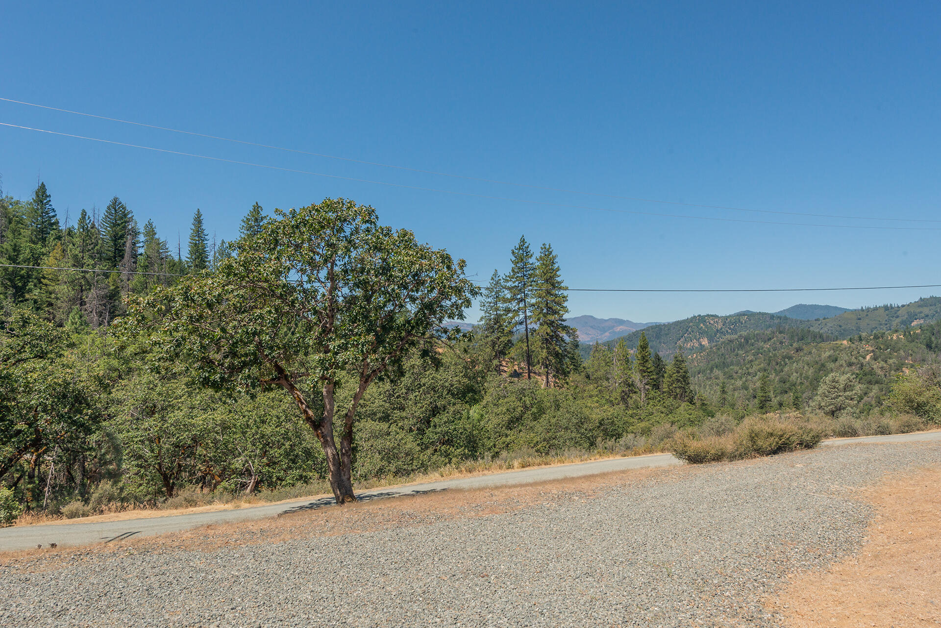 main property photo 98