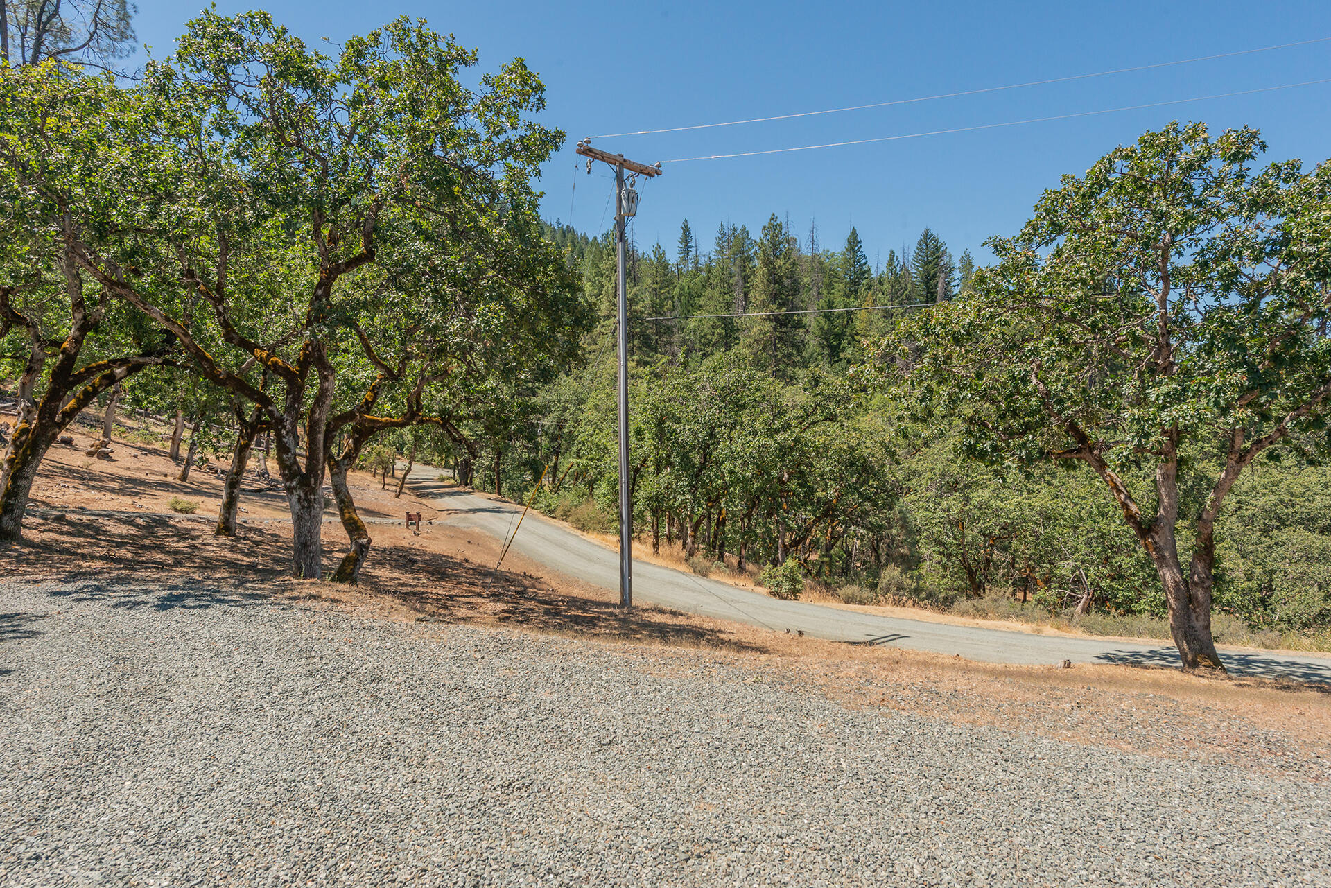 main property photo 99