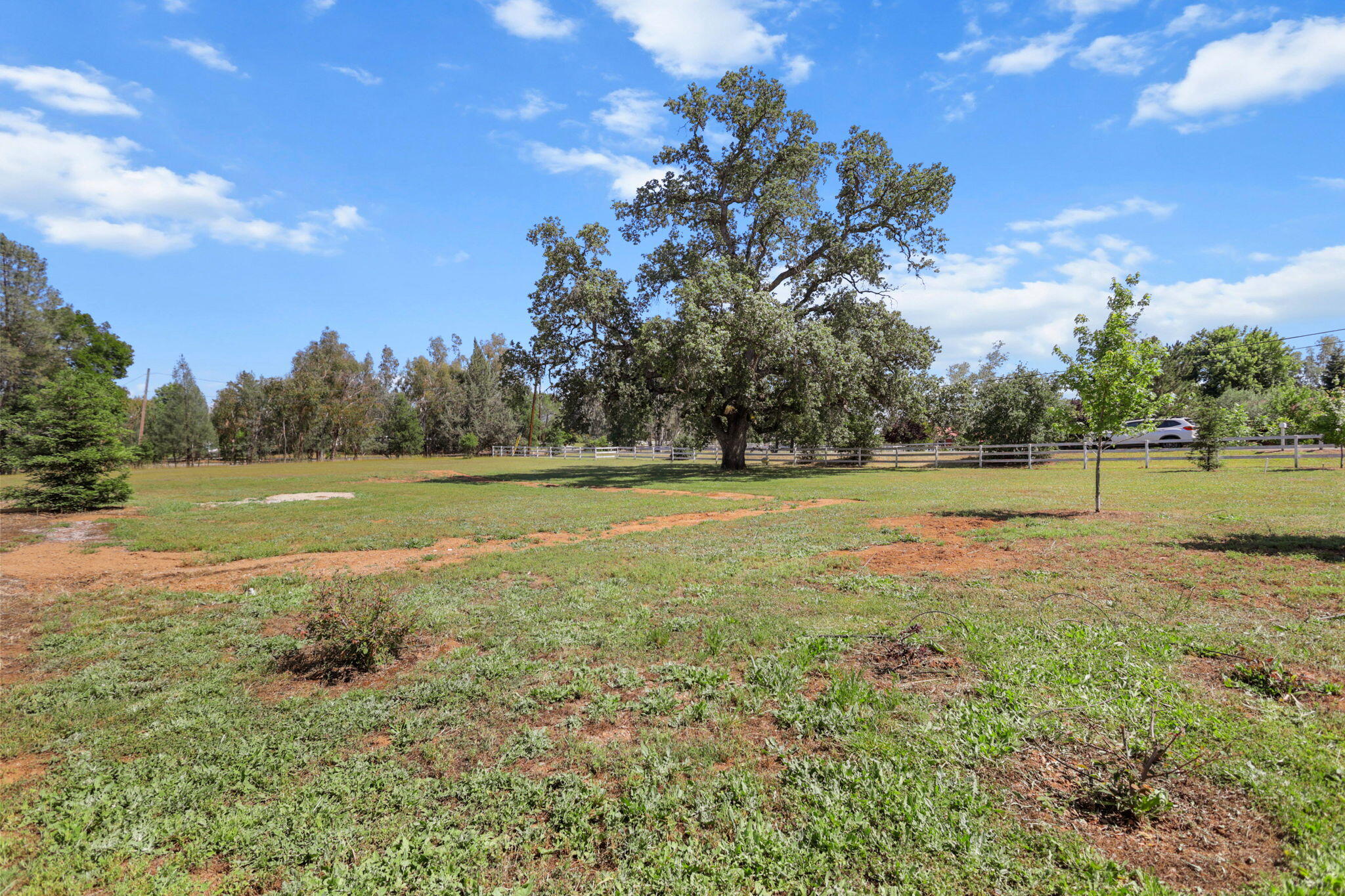 main property photo 66