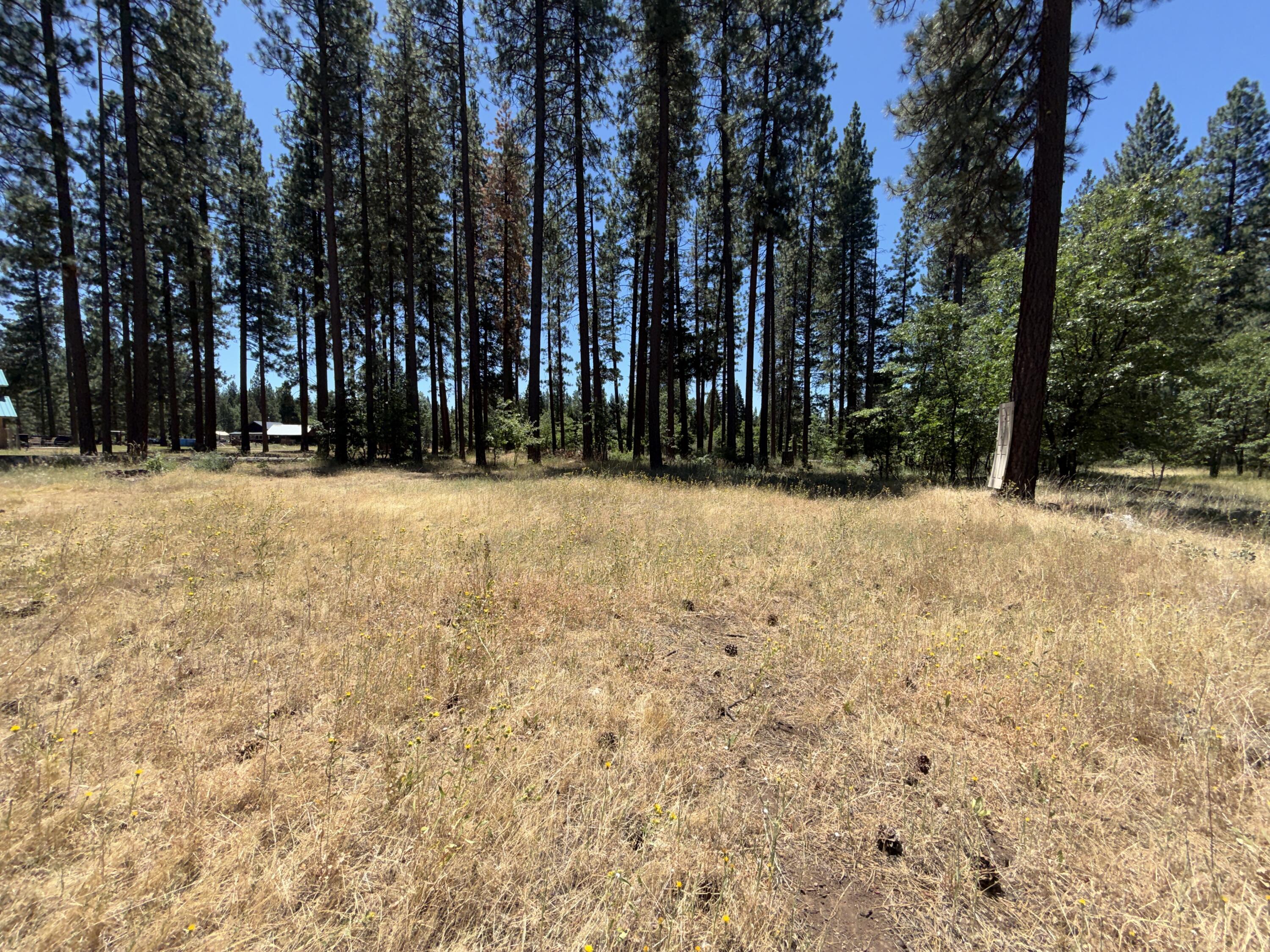 main property photo 74
