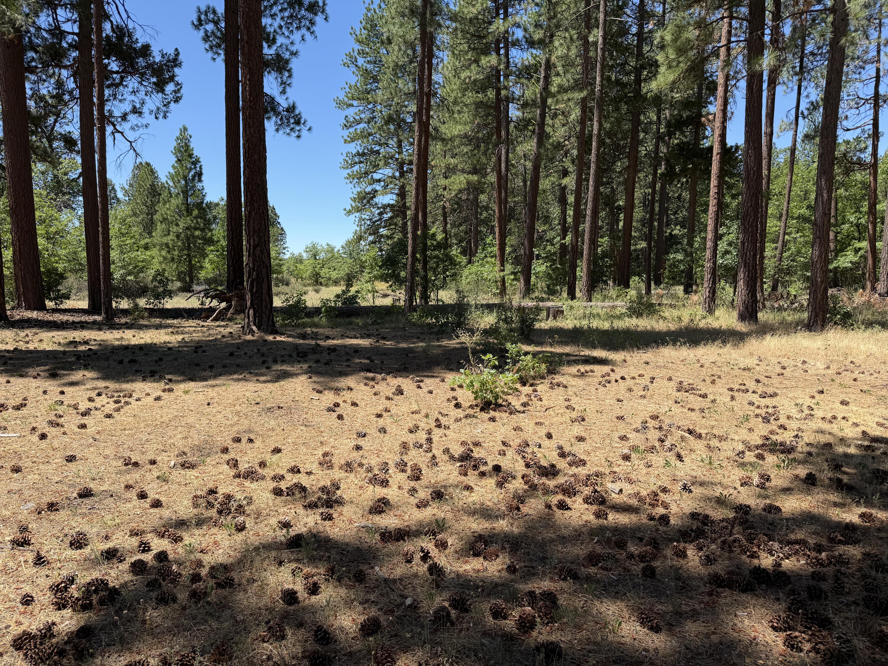 main property photo 75
