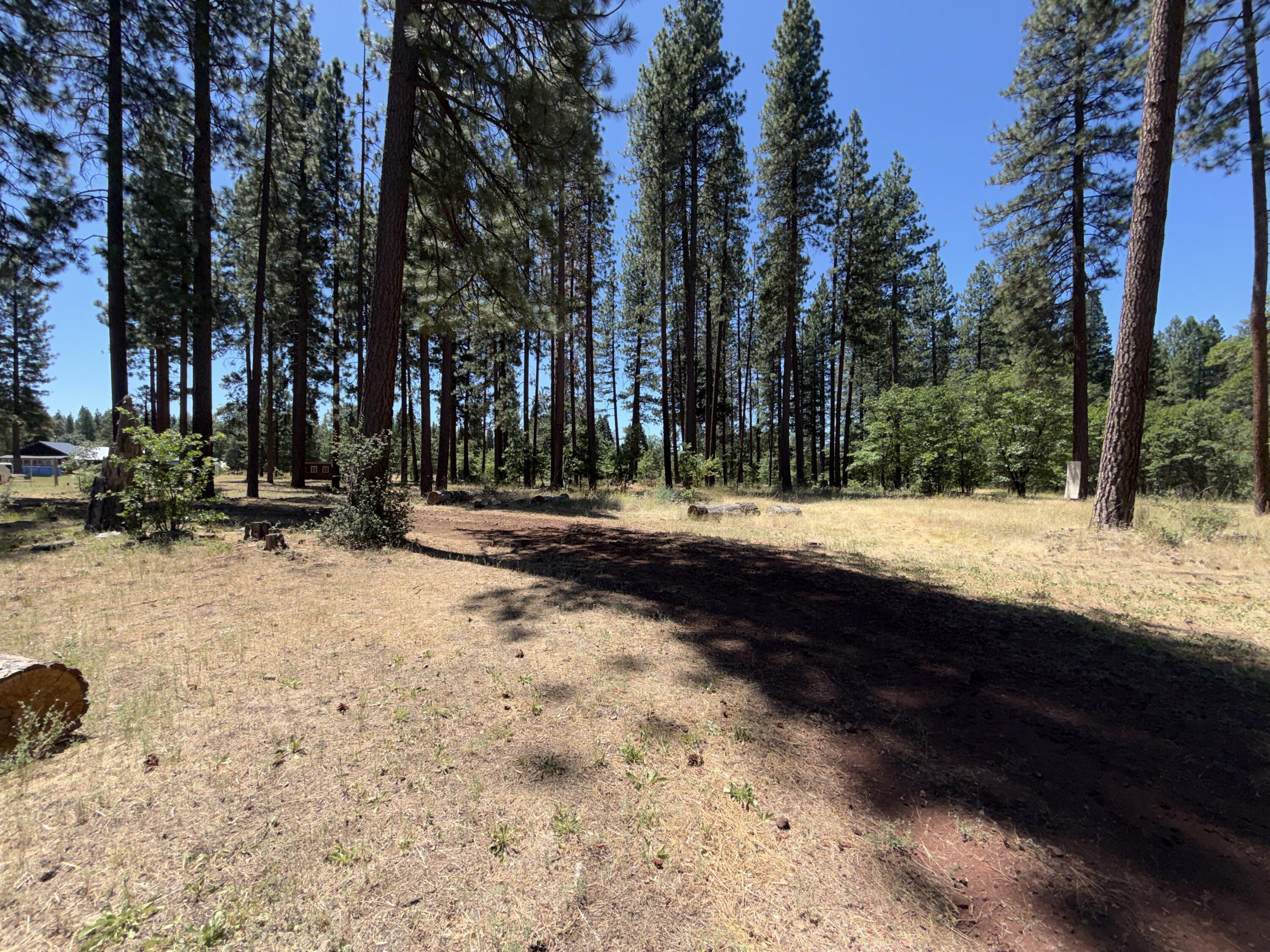 main property photo 76