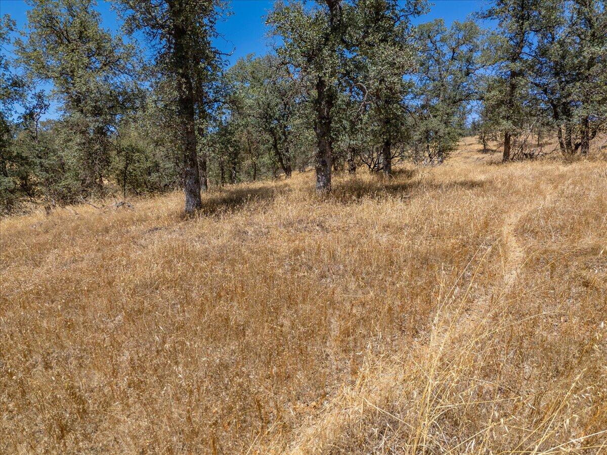 main property photo 53