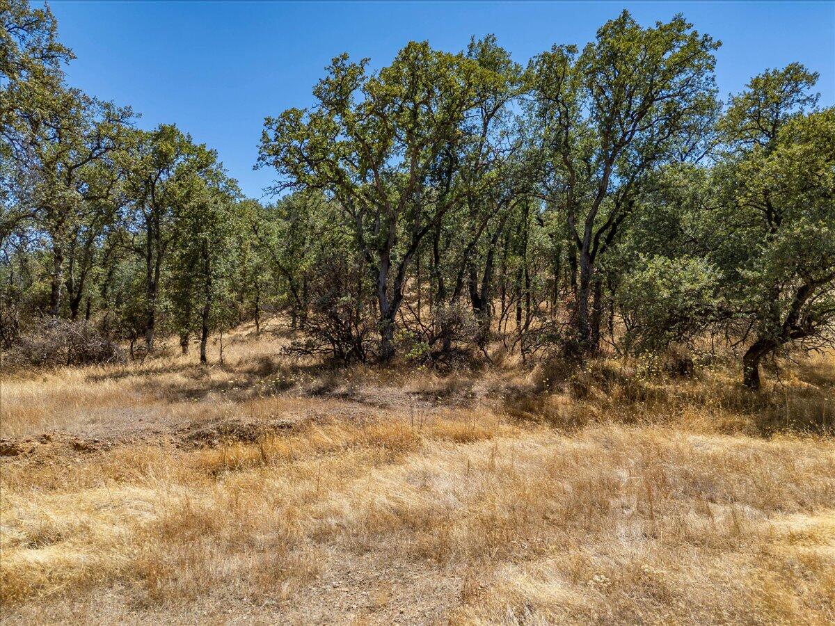 main property photo 54