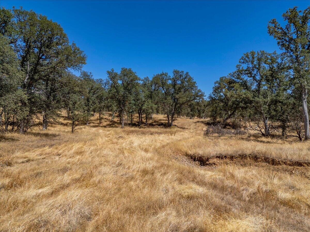 main property photo 55