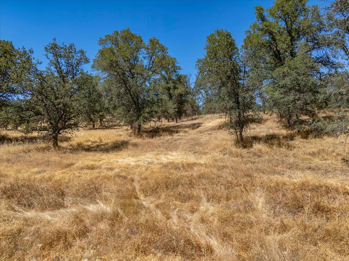 main property photo 56