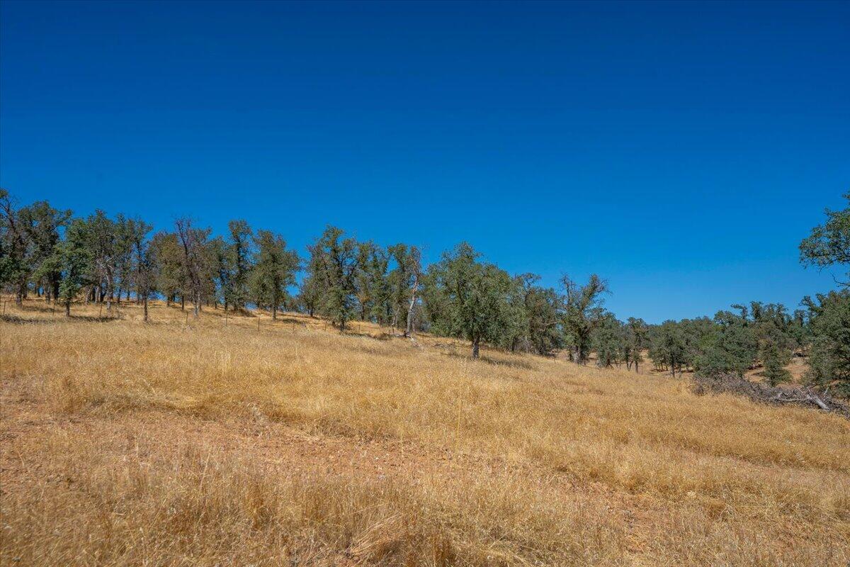 main property photo 69