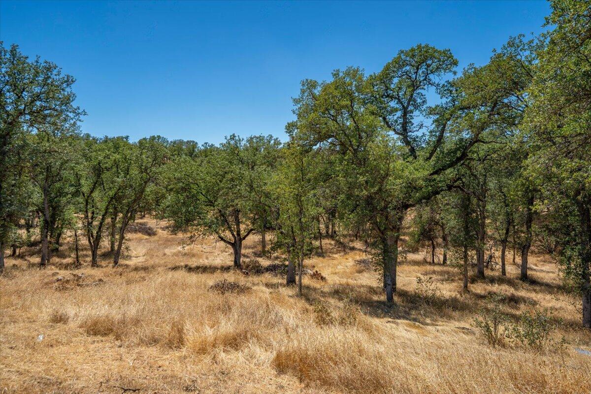 main property photo 77