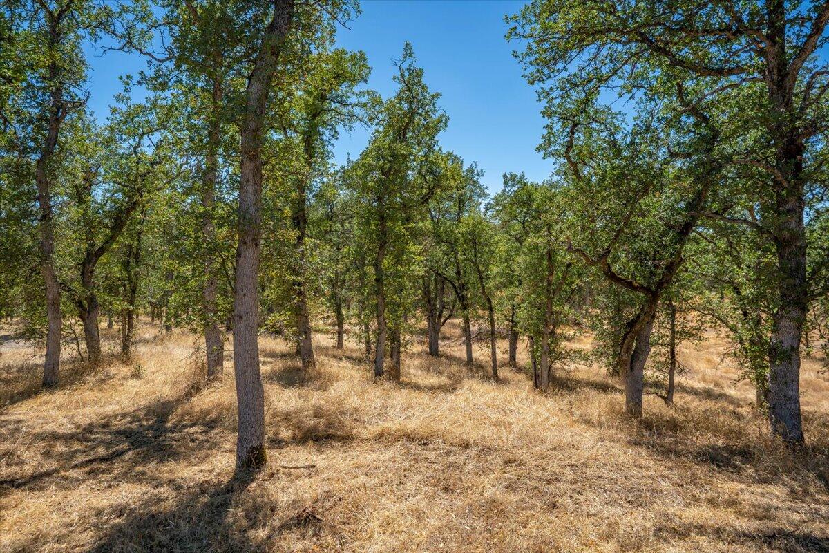 main property photo 79