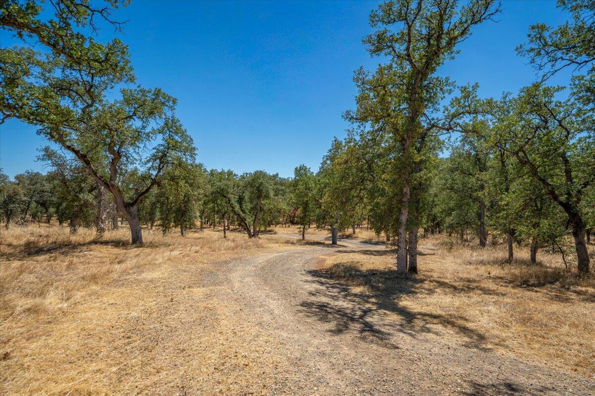 main property photo 80