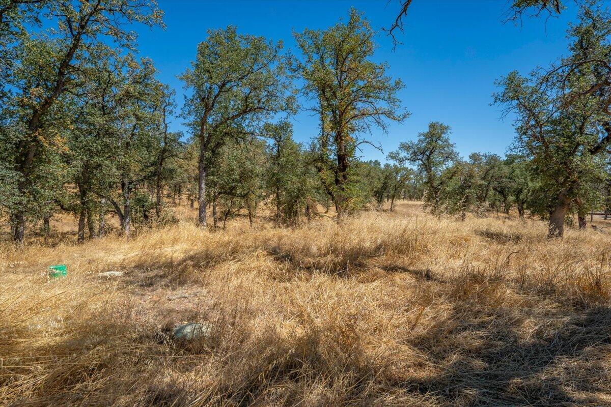main property photo 81