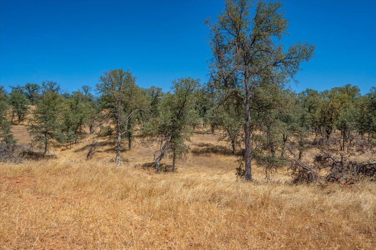 main property photo 83
