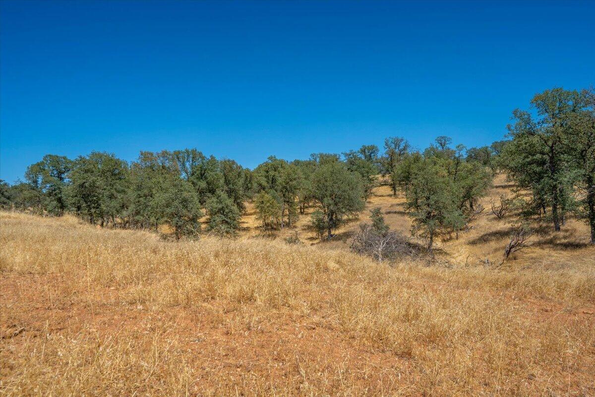 main property photo 84