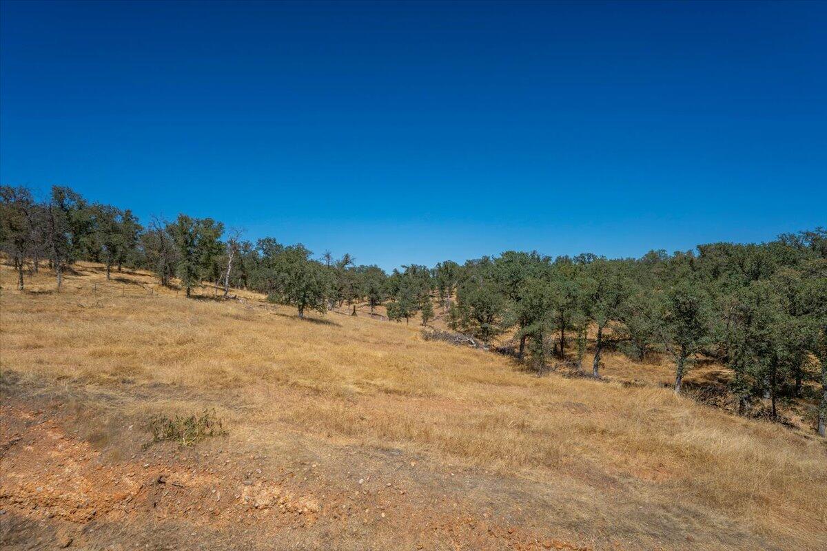 main property photo 85