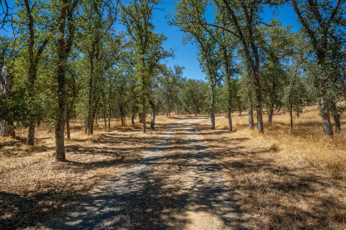 main property photo 87
