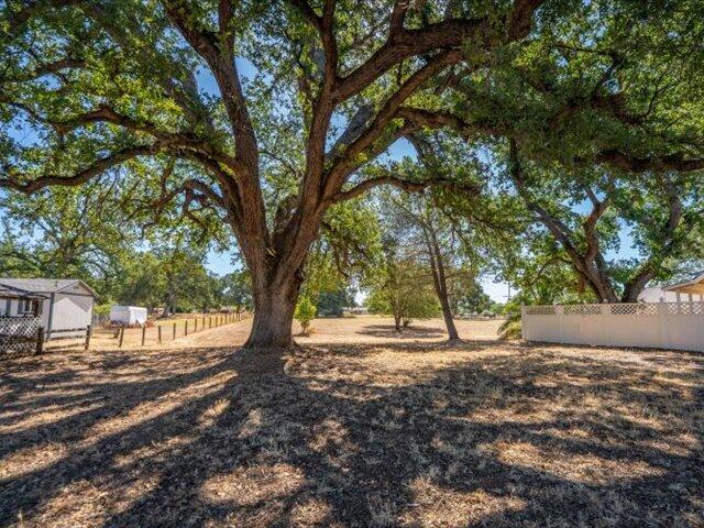 main property photo 76